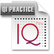 Download "Quality in Practice" English